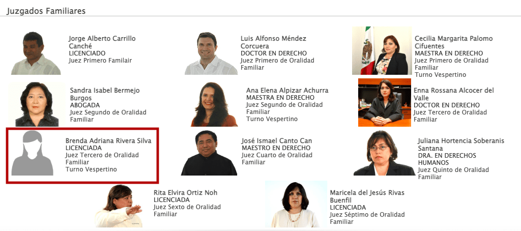 Juez Brenda Rivera, Consejo de la Judicatura