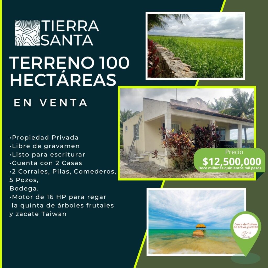 Tierra Santa, nuevo negocio relacionada con las clínicas de depilación y perdida de peso que desaparecen
